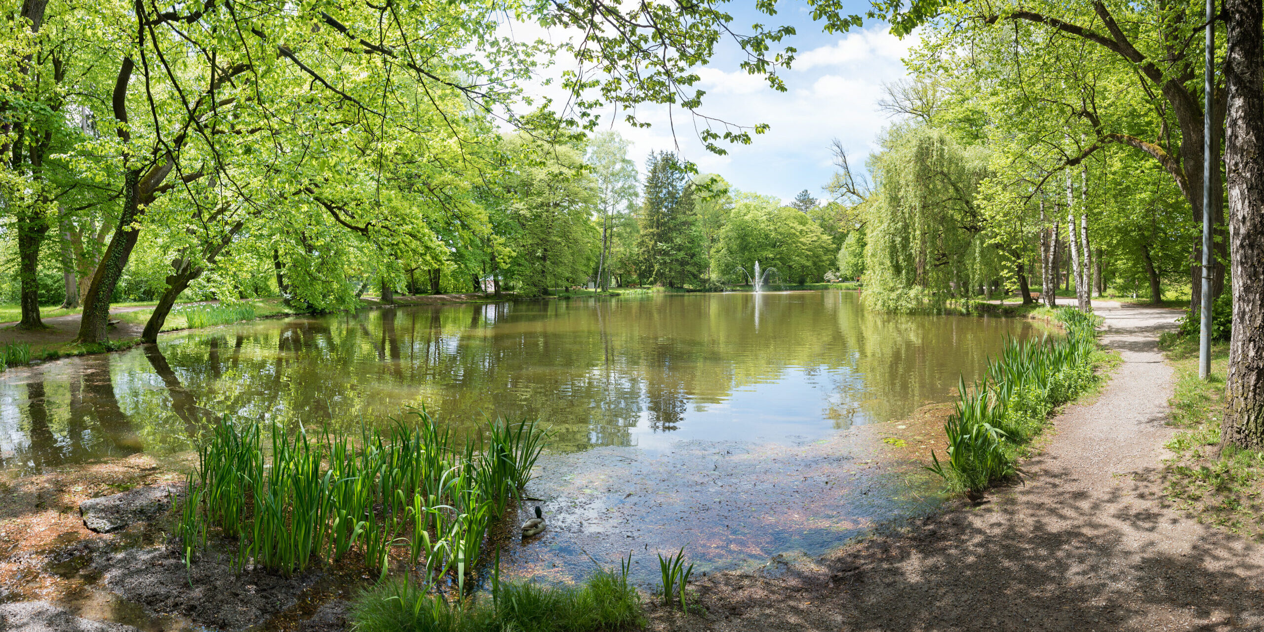 spa garden Bad Aibling, lake Irlachsee with fountain, bavarian spring landscape
